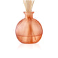 Pier 1 Apple Cider 8oz Reed Diffuser