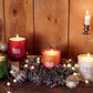 Pier 1 Holiday Forest Luxe 19oz Filled Candle