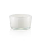 Pier 1 Peppermint 14oz Party Filled 3 Wick Candle