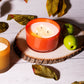 Pier 1 Apple Cider Boxed 8oz Soy Candle